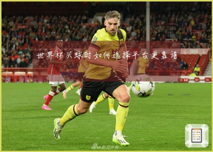 世界杯买球时如何选择平台更靠谱