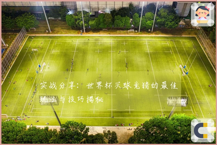 实战分享：世界杯买球竞猜的最佳玩法与技巧揭秘
