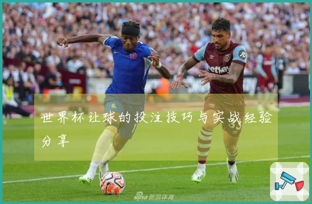 世界杯让球的投注技巧与实战经验分享