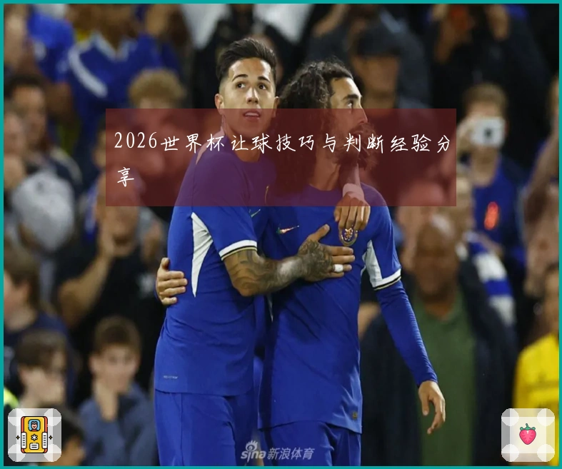 2026世界杯让球技巧与判断经验分享