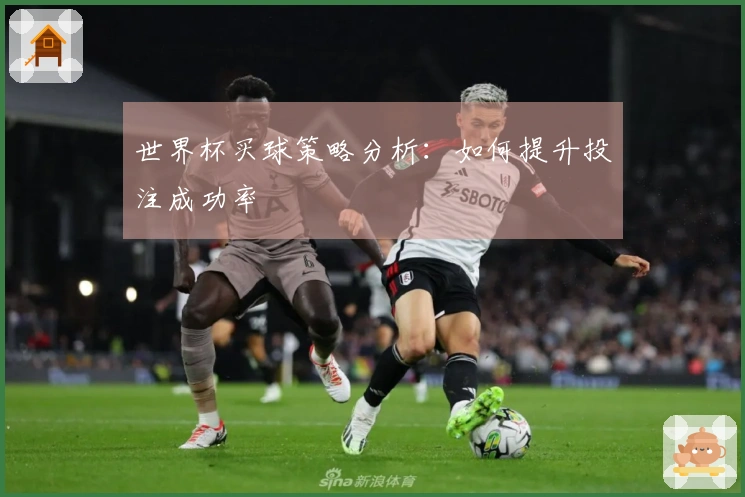 世界杯买球策略分析：如何提升投注成功率