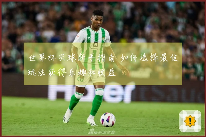 世界杯买球新手指南 如何选择最佳玩法获得乐趣和收益