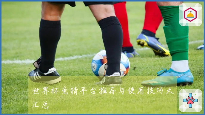 世界杯竞猜平台推荐与使用技巧大汇总